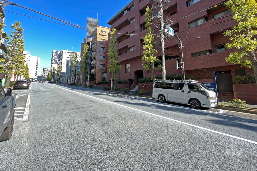 敷地の北西側前面道路（南西側から）