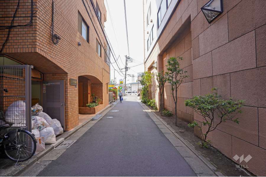 敷地西側の前面道路（北側から）