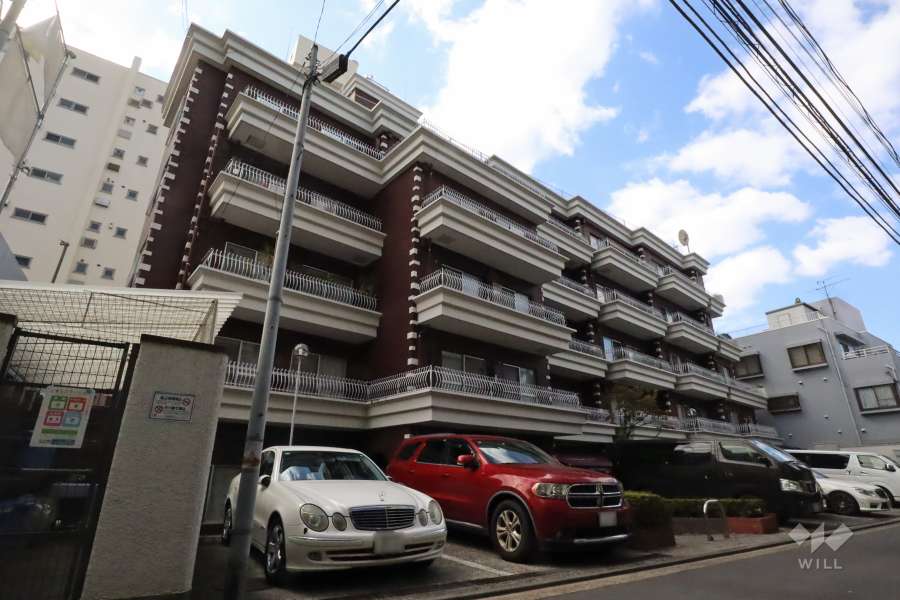 サンビューハイツ白金台の外観(北東側)