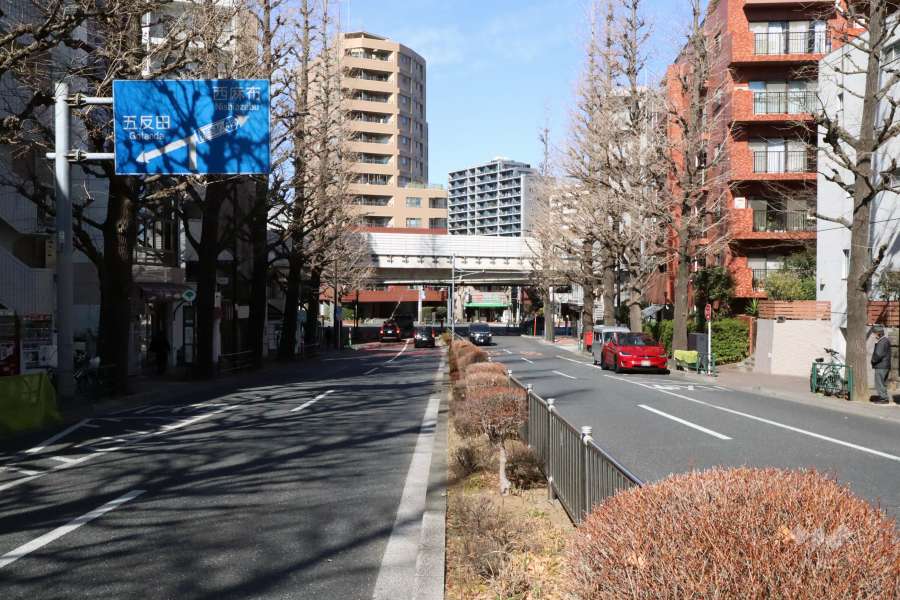 敷地南西側の前面道路(南東側から)