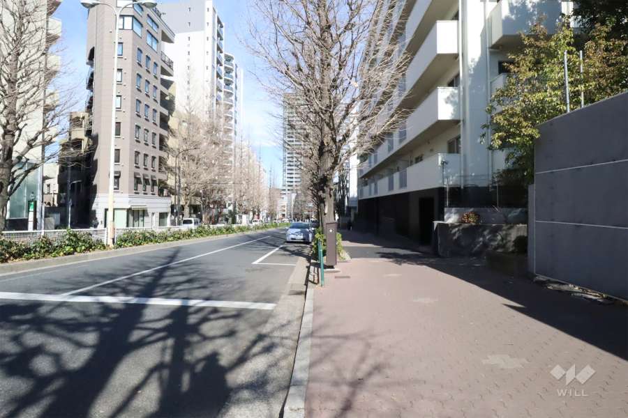 敷地西側の前面道路　