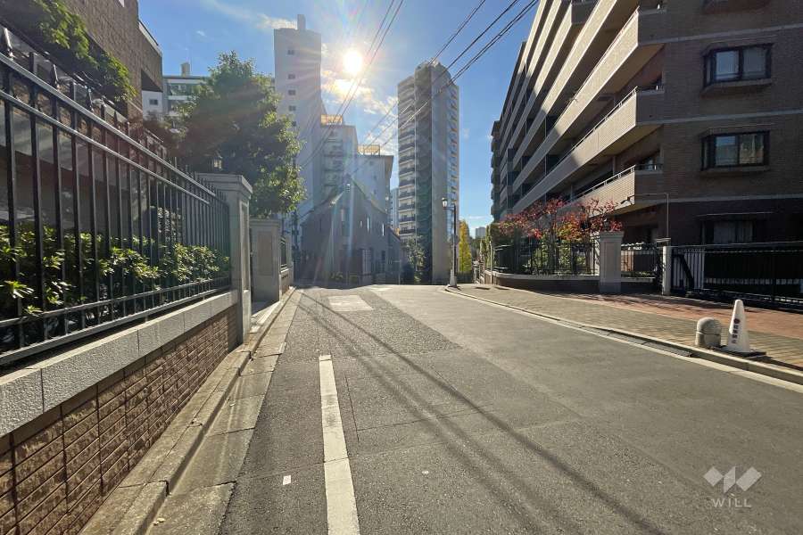 敷地西側の前面道路（北側から）
