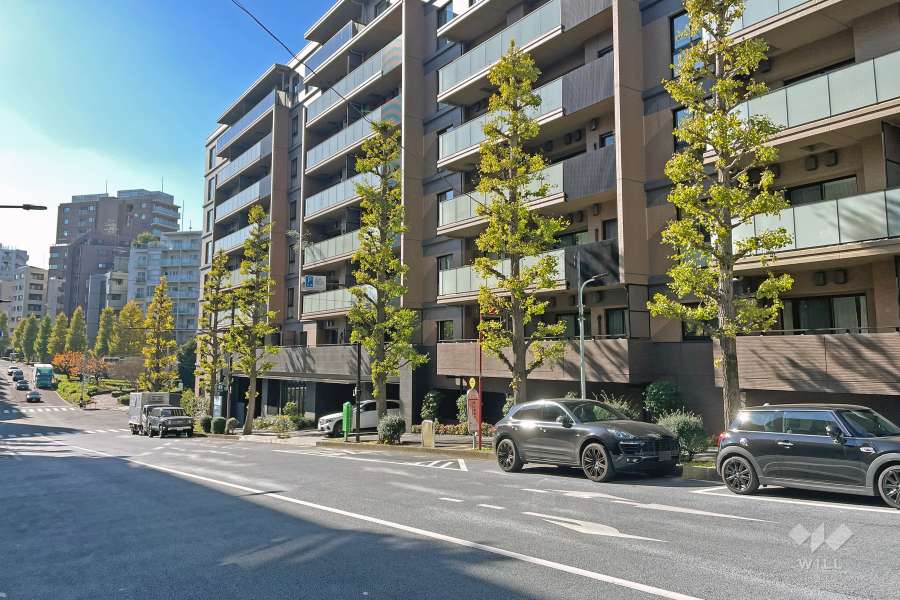 敷地の西側前面道路（南側から）