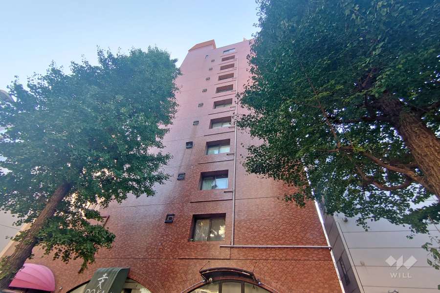 南青山高樹町ハイツの外観（北西側から）