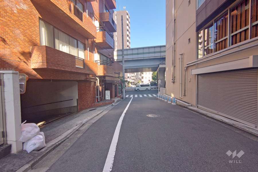 敷地西側の前面道路（南側から）