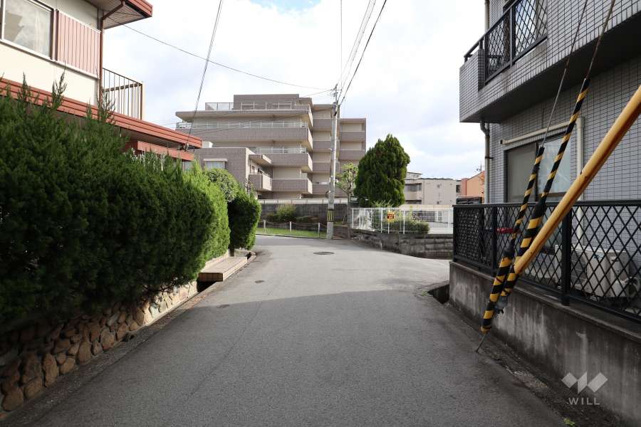 敷地北側の前面道路（西側から）