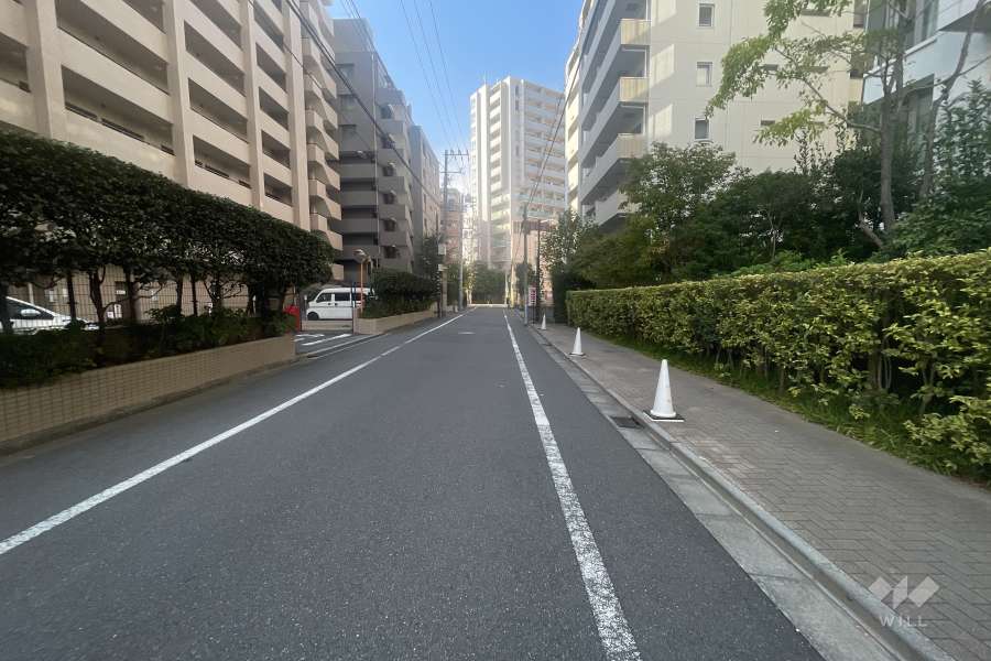 敷地北側の前面道路（東側から）
