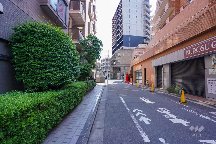 敷地西側の前面道路（北側から）