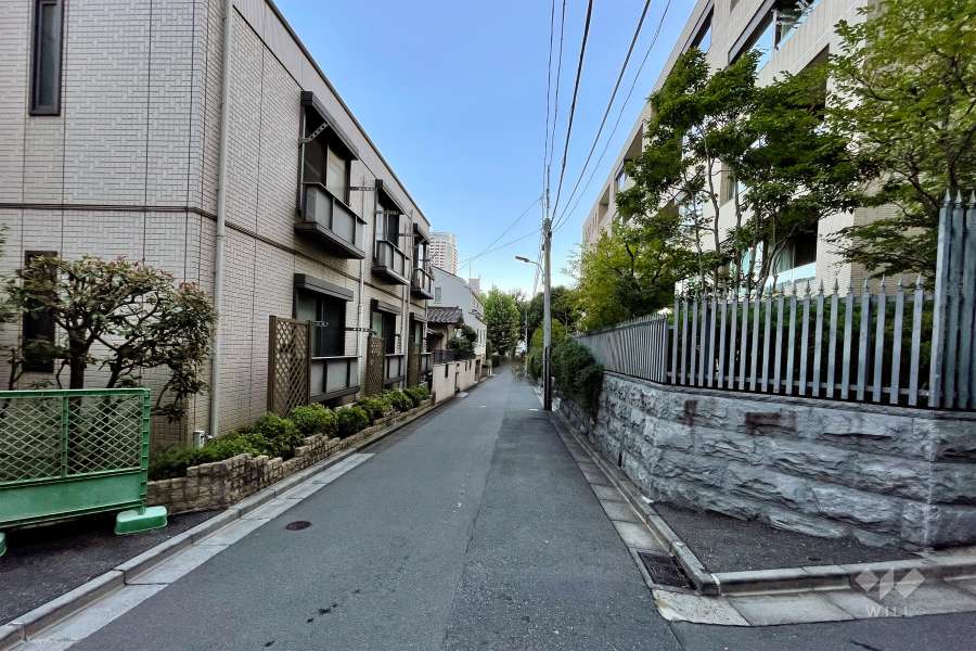 敷地東側の前面道路（北側から）