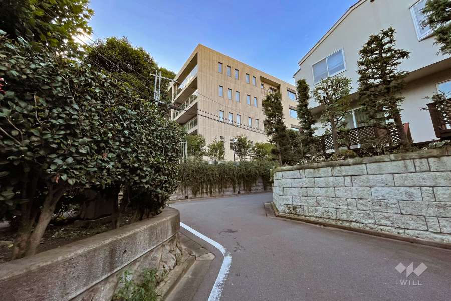 敷地南西側の前面道路（南東側から）