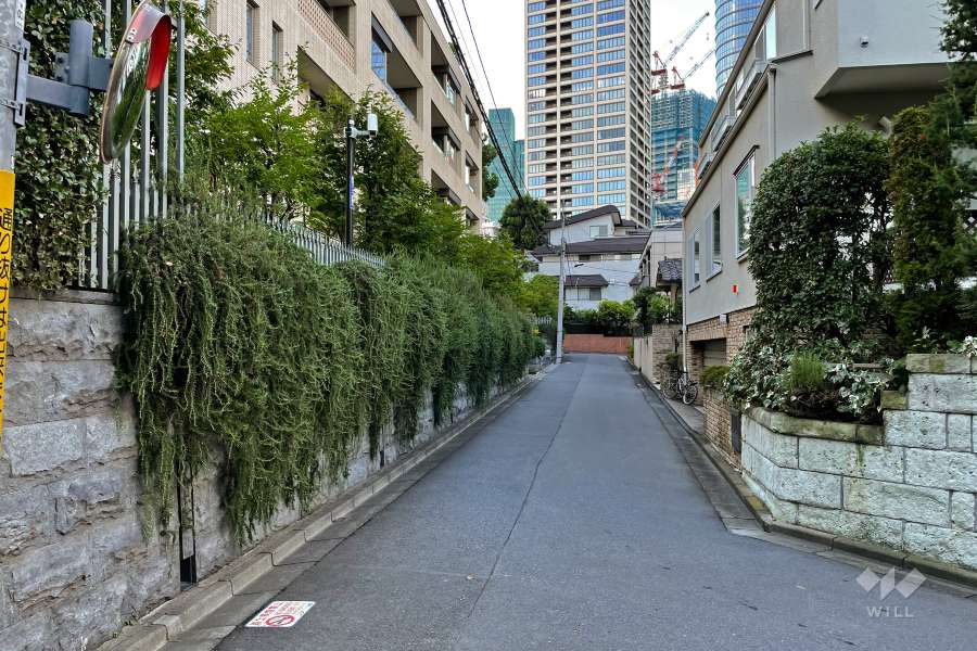 敷地東側の前面道路（南側から）