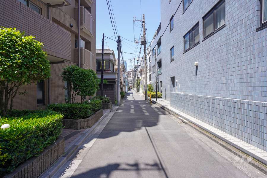 敷地東側の前面道路