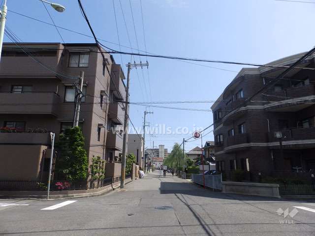 敷地西側の前面道路。