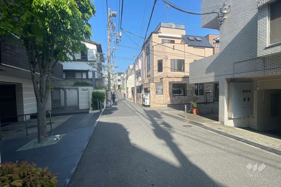 敷地南側の前面道路（西側から）