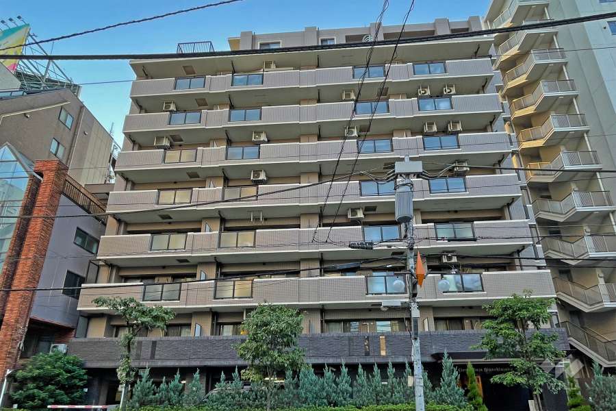 ライオンズプラザ東麻布の外観（東側から）