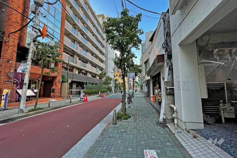 敷地東側の前面道路（南側から）