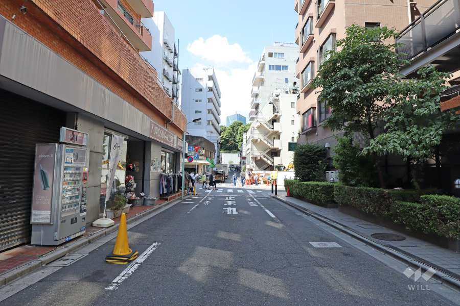 敷地南東側の前面道路（南西側から）