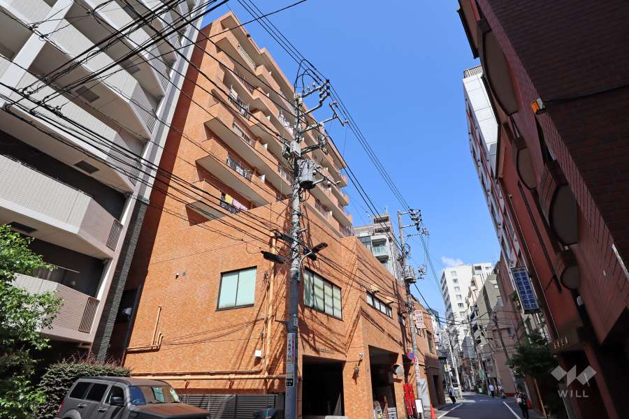 ライオンズマンション麻布十番の外観(南西側から)