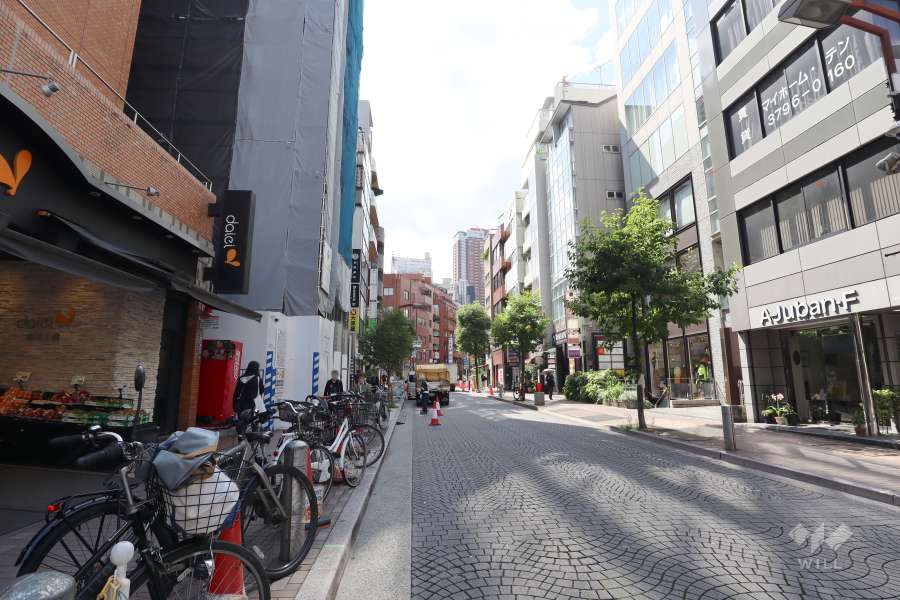 敷地北東側の前面道路（南東側から）