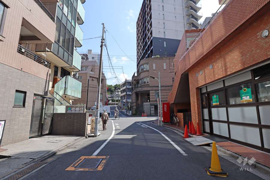 敷地南東側の前面道路（北東側から）