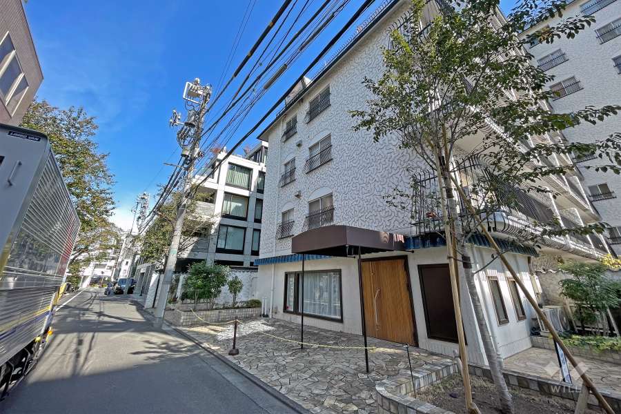 敷地北西側前面道路（南西側から）