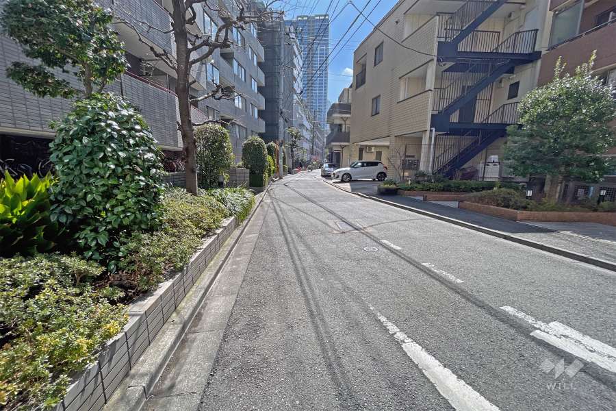 敷地南側の前面道路（西側から）