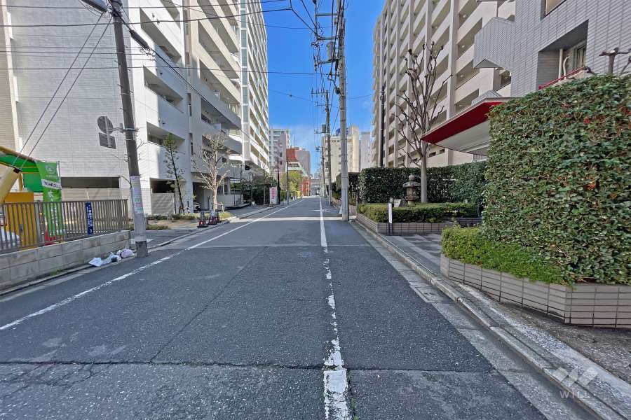 敷地西側の前面道路（南側から）