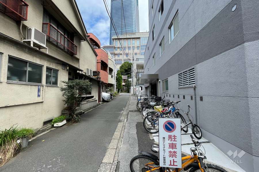 敷地の西側前面道路（南側から）