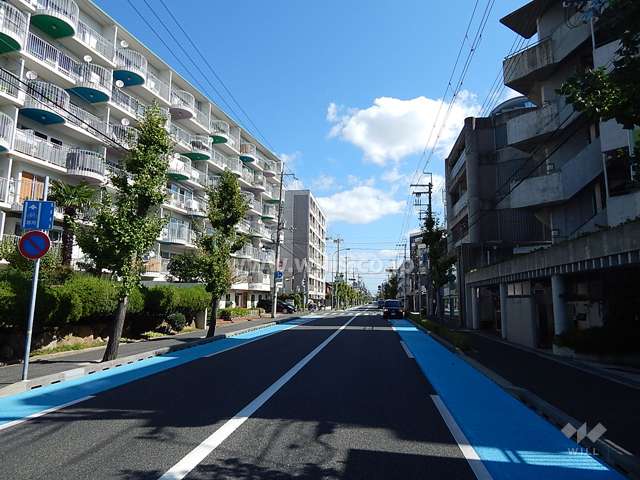 敷地南側の前面道路。自転車専用レーンが設けられています。