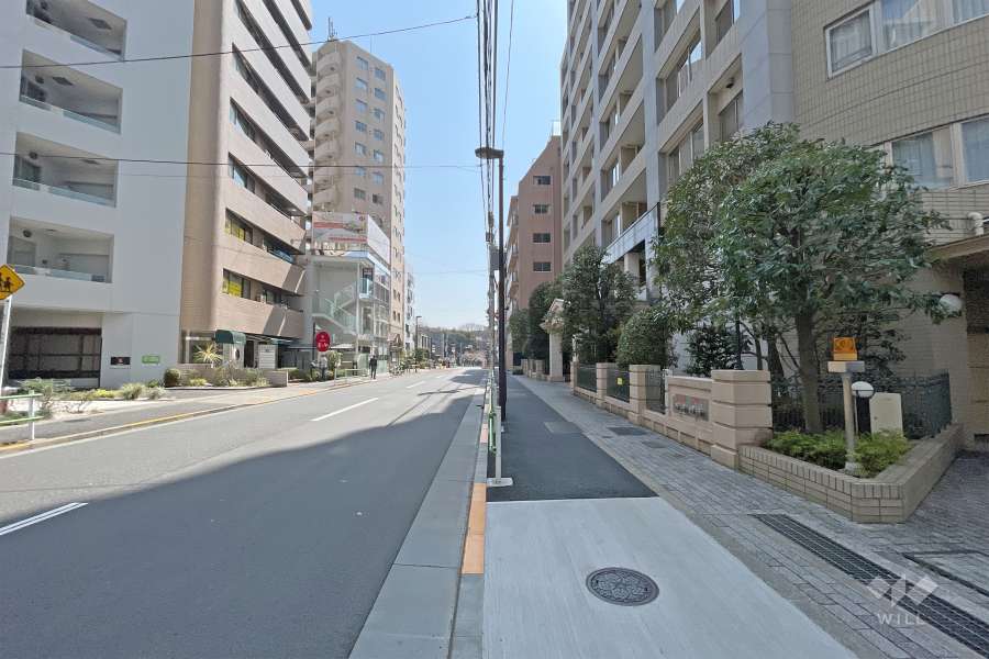 敷地東側の前面道路（北側から）