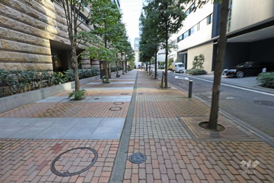 敷地北側の前面道路（東側から）