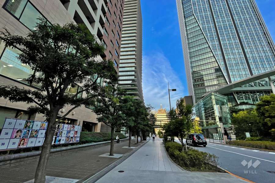 敷地南側の前面道路（東側から）