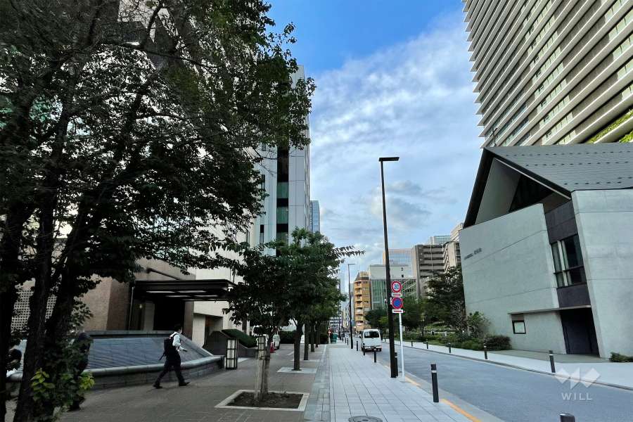 敷地の東側前面道路（南側から）