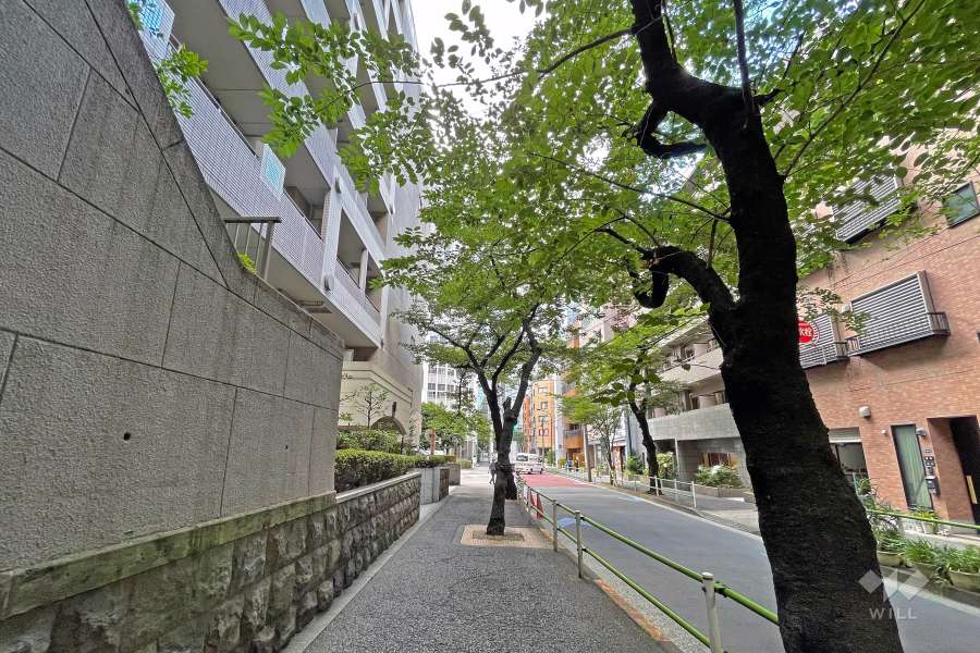 敷地の北側前面道路（東側から）