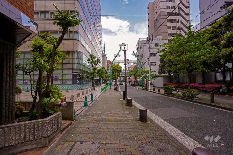 敷地東側の前面道路（南側から）