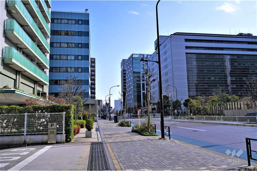 敷地西側の前面道路