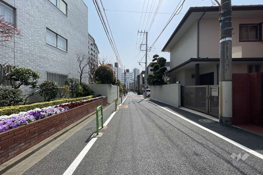 敷地西側の前面道路（北側から）