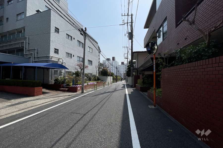 敷地東側の前面道路（北側から）