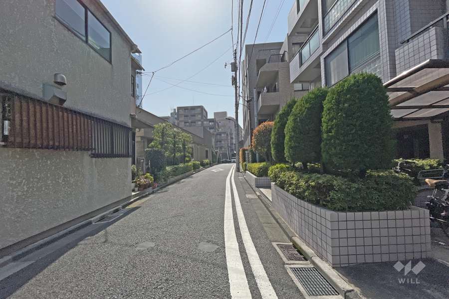 敷地南側の前面道路（東側から）