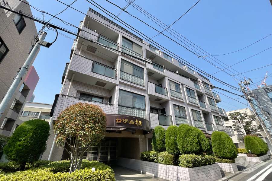 セザール高輪の外観（南西側から）