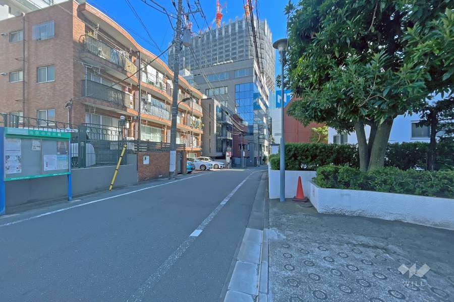 敷地北側の前面道路（西側から）