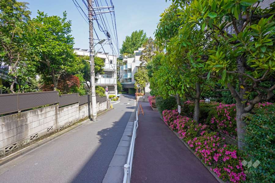 敷地西側の前面道路（南側から）