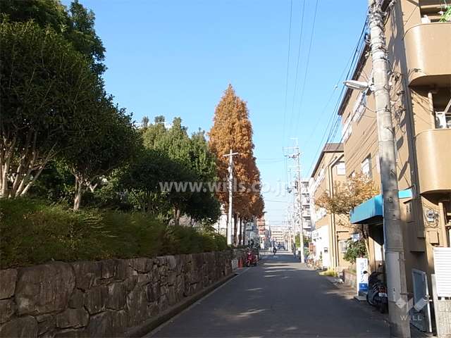 敷地西側の前面道路。道を挟んで西側には『大井戸公園』があります。