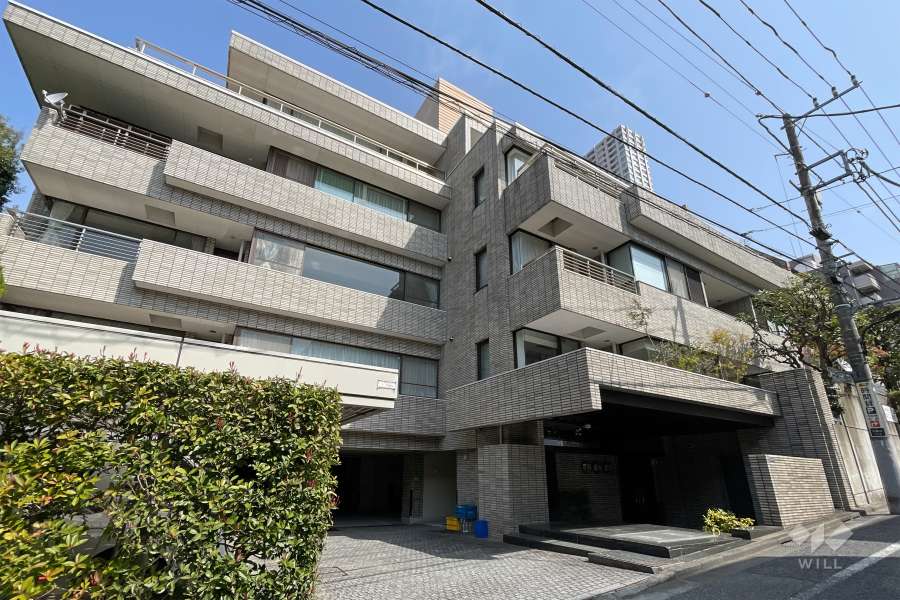 マスターズホーム白金の外観（南西側から）