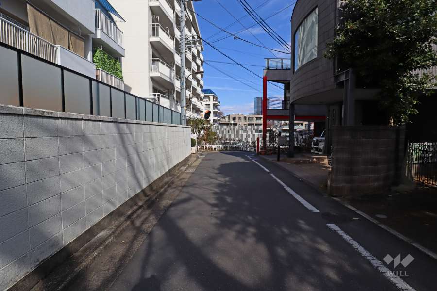 敷地東側の前面道路（南側から）
