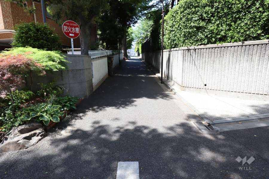 敷地北側の前面道路（西側から）