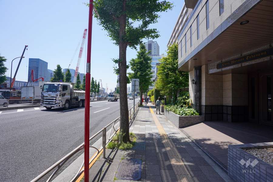 敷地東側の前面道路（北側から）