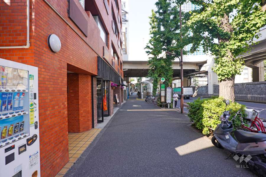 敷地南東側の前面道路（南西側から）