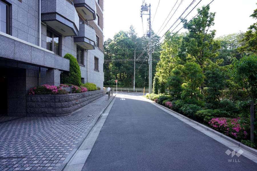 敷地南西側の前面道路