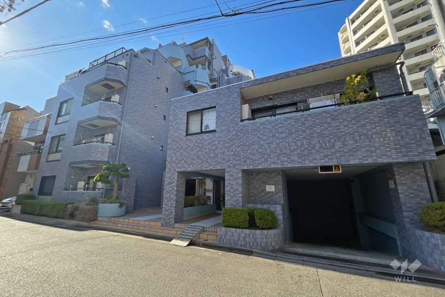 セザール白金の外観（東側から）